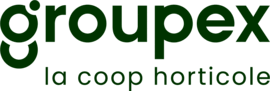 Groupex 